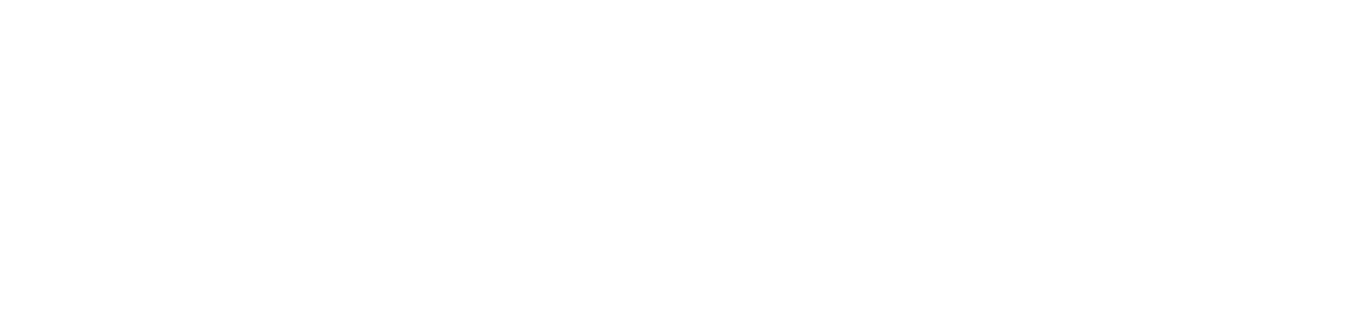 SSI (1)